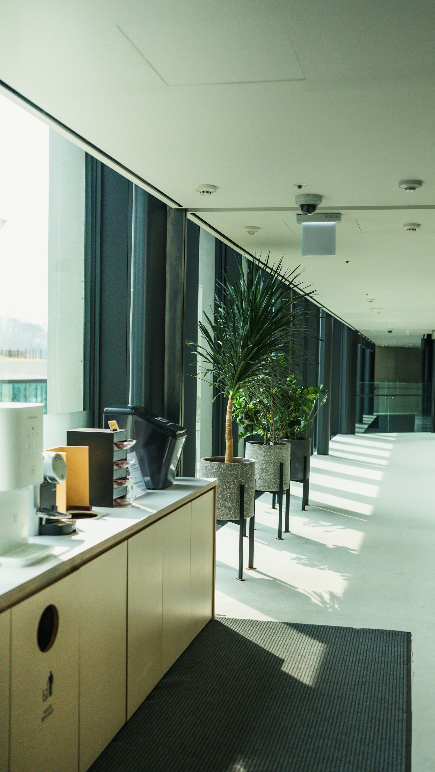 A planted corridor along a window wall, sunlight throwing long shadows down the floor.